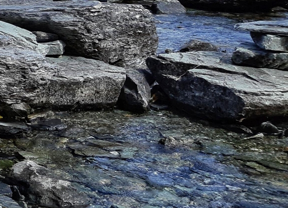 定格动画简单创意