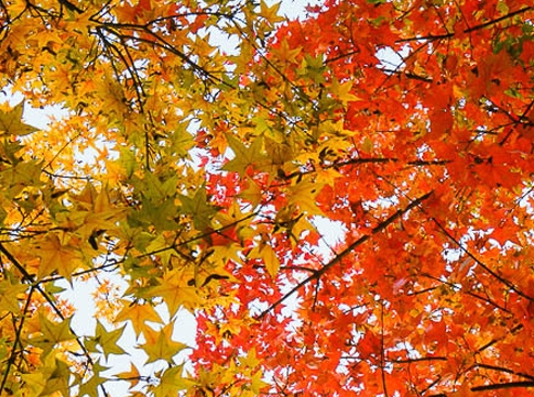 无线网卡驱动在哪里看