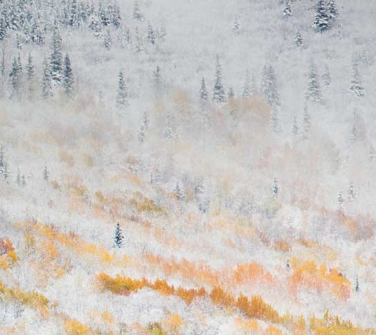 股权投资基金管理公司是干什么的