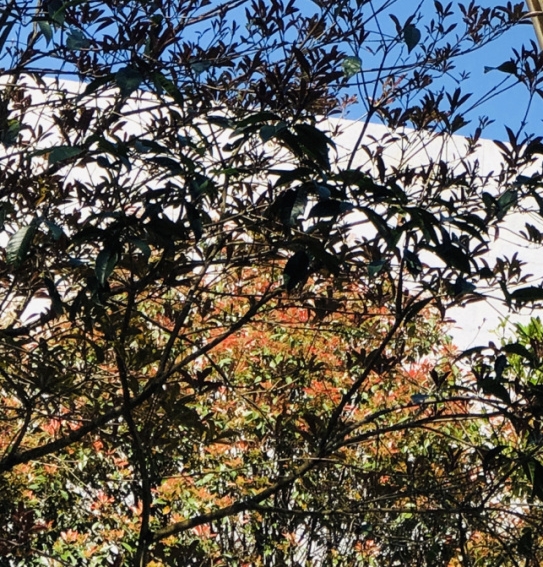 纽威阀门有限公司怎么样