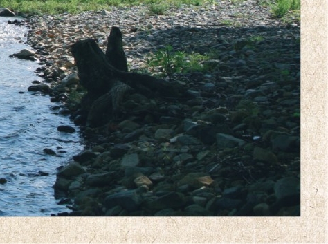 完美世界后续之上苍之外