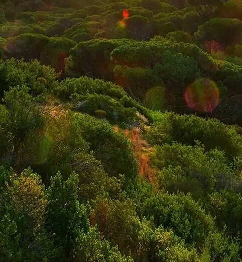 靓丽世界城