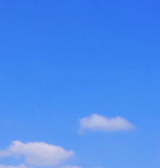 蒸汽与机械的时代小说