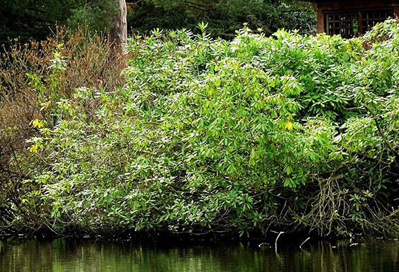 迷你世界的火山在哪里
