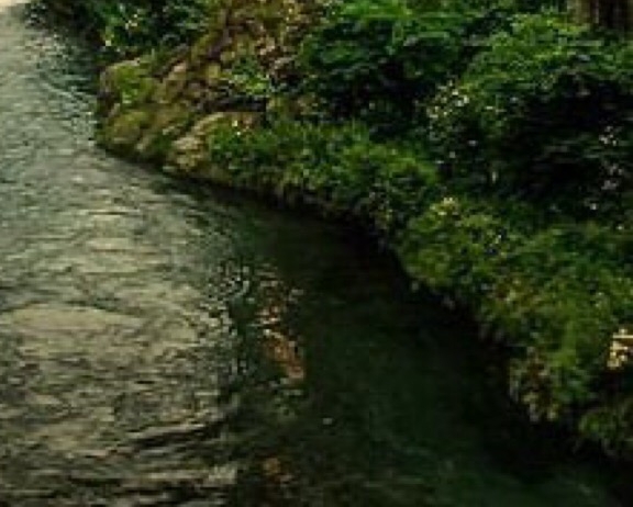 时空之轮废墟怎么过