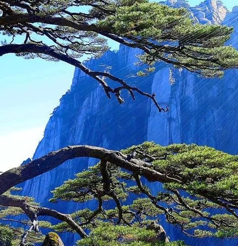 科技卡图子生物科技：创新科技助力生物科技发展
