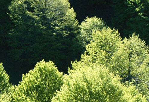 惠州西湖好玩吗攻略