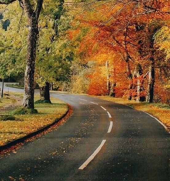 七姊妹山保护局领导班子