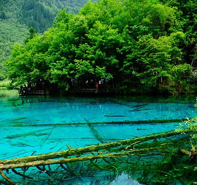 创意与实践：旅游企业构思案例一览表