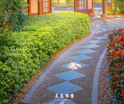 顽皮燕子创意美术：打造生动有趣的燕子创意美术课件