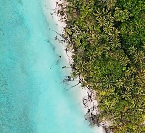 地心火芝怎么得到的