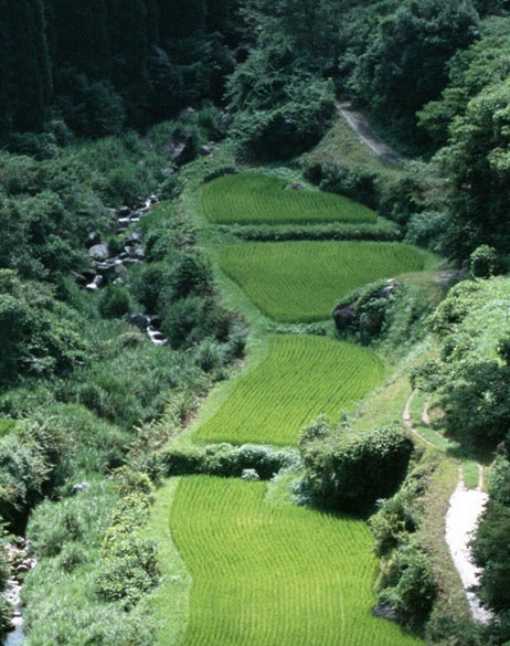 沈阳高端写字楼