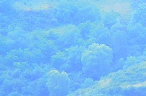 世界蓝天城，引领蓝天经济城崛起