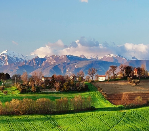 成武汇盟生物科技