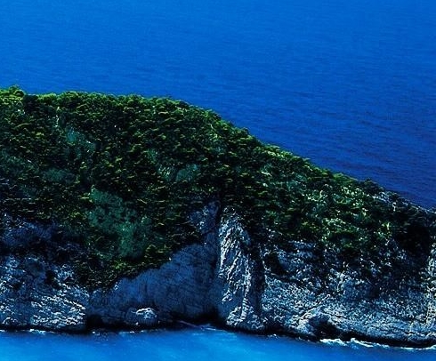 白竹别名