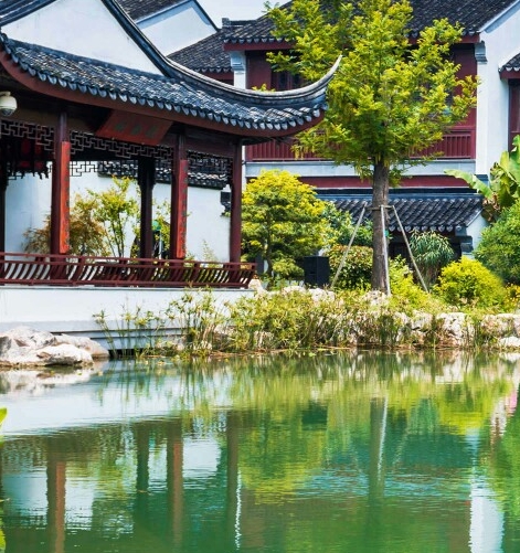 读懂心灵的教育