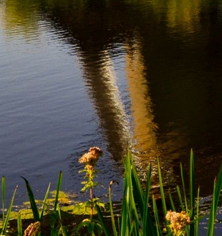 幼儿创意舞蹈视频最新