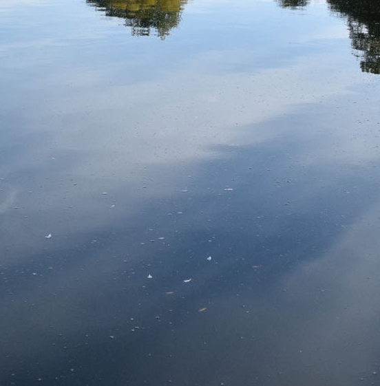 泸州城西客运站