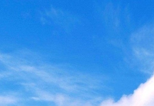 从广州南站到文冲地铁站，轻松畅游黄埔风光