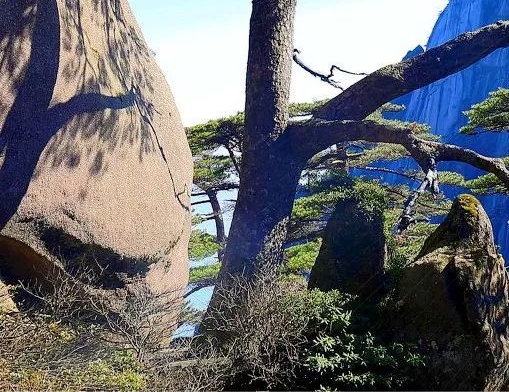 90后团建活动方案