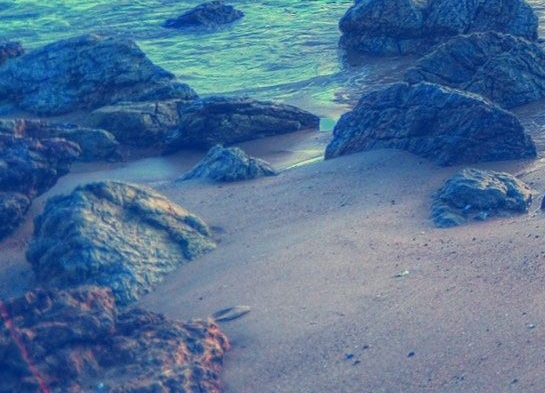 超级苹果版.ipa下载