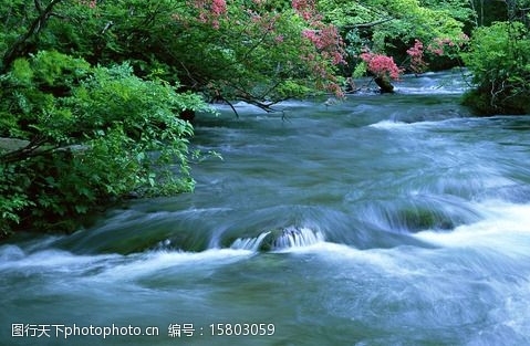 吞噬星空墙纸