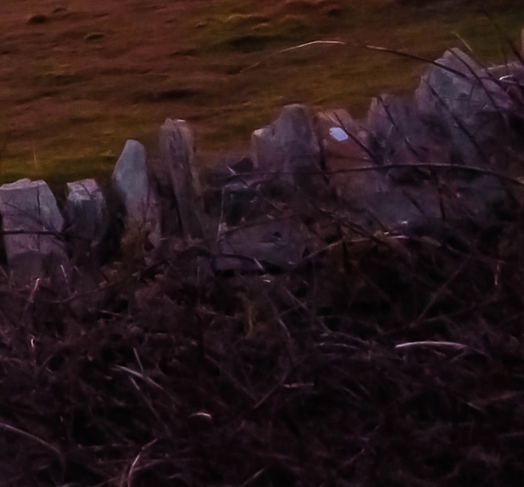 视频网站为什么会亏钱