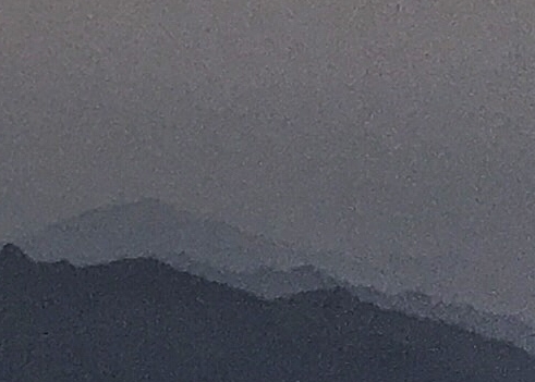 杨尚坤