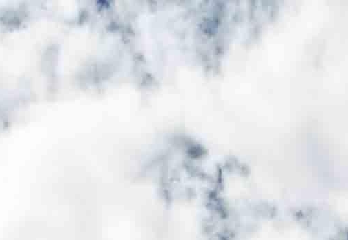 台北雨个人资料