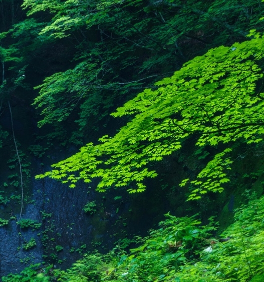 同学，别忘初心，同学录毕业赠言