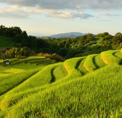 纪念世界反法西斯战争胜利70周年阅兵