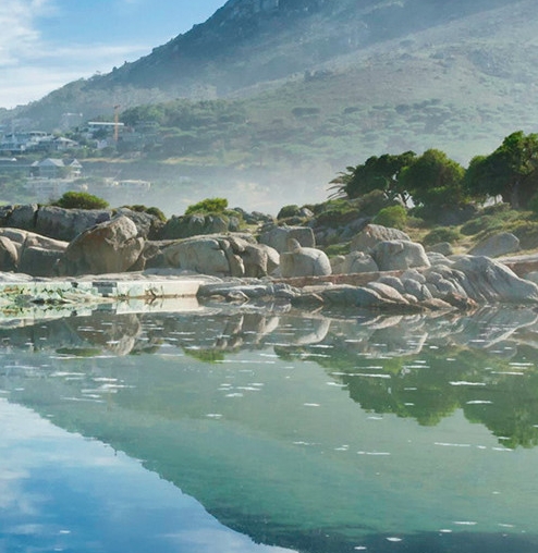 12个灵码分别是什么