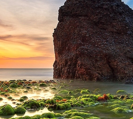 洗涤心灵的方法