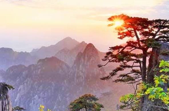 怀远创意造型：创意地堆出不一样的美感！