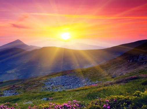 学生机票怎么买