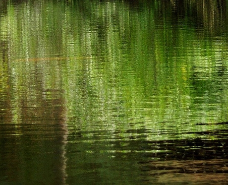 没有光世界会怎么样