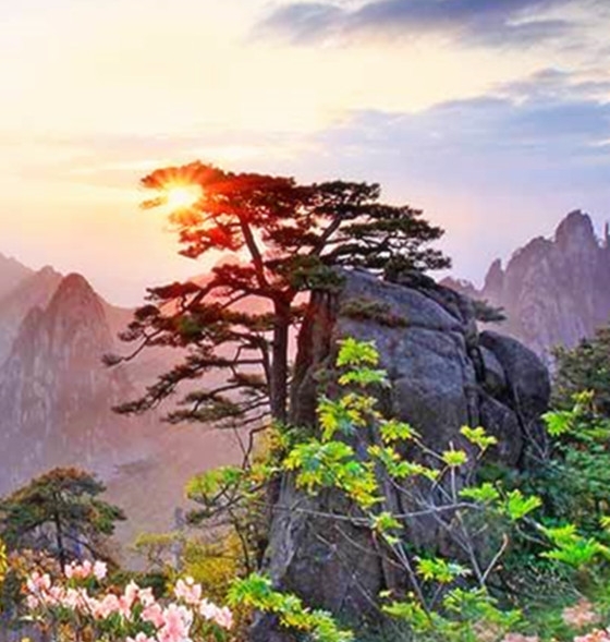 利鲨世界