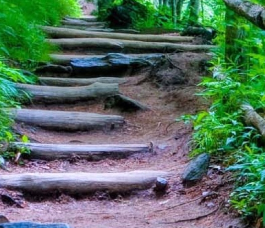 小潮玩迷你世界