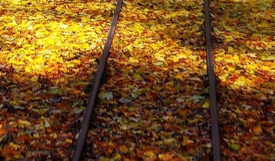 我的世界vs现实世界