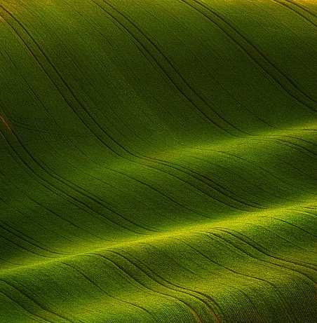 小屏幕大世界