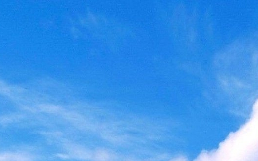 电商平台电话：了解手续需求，顺利开展业务