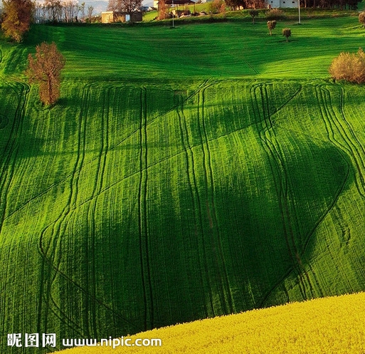 霸王龙恐龙世界霸王龙