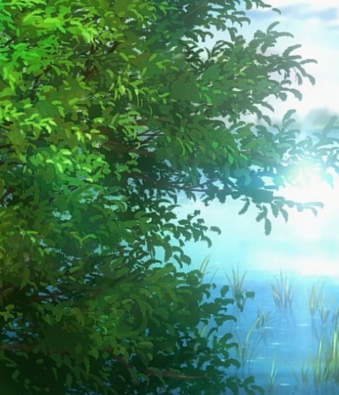 植物书籍与目录设计创意：探索自然之美