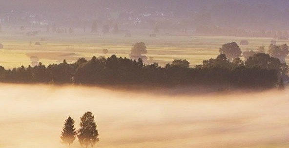 幼儿园创意美术画