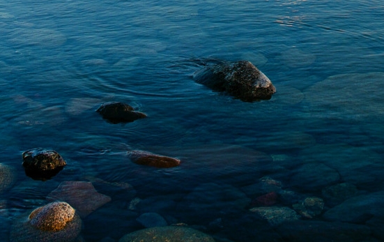 创意星球杯学院奖官网