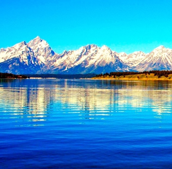 我的世界骂迷你世界的歌曲