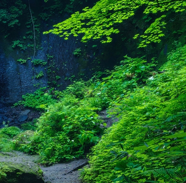 电商地推