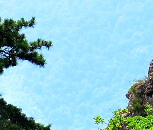 全球擂台，我的照片大放异彩！