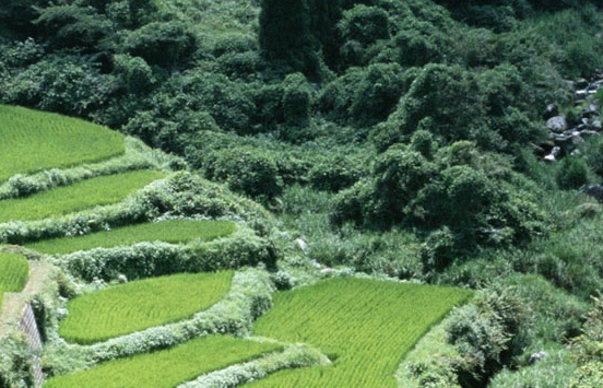 深圳强盛通讯