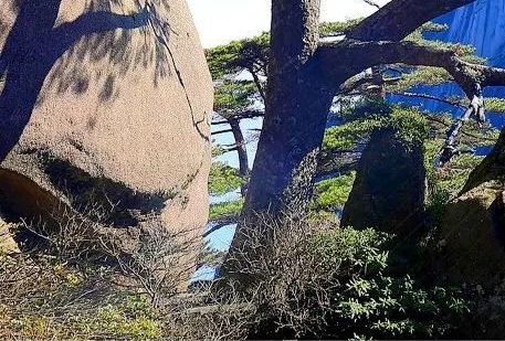 去哪儿飞机票：官方正规购票网站